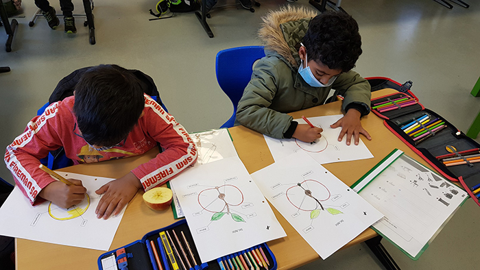 projekttag_gesundheit_20201112_111919k.jpg