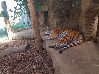 zoom_20220824_131037.jpg