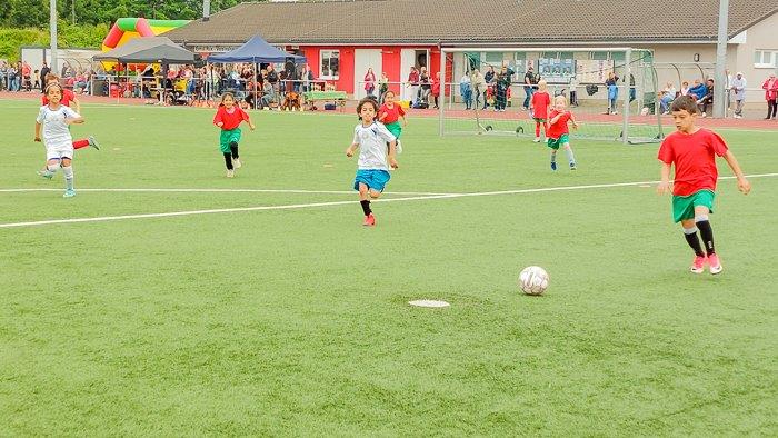 20240618_093118_QF_700_breit_72ppi.jpg