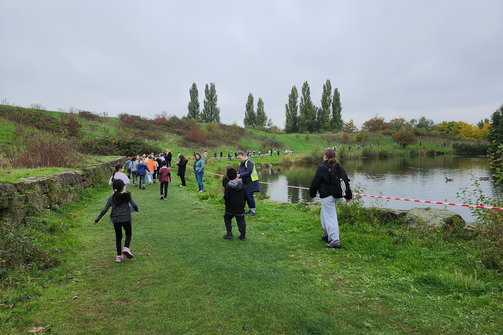 Immer um den Teich herum